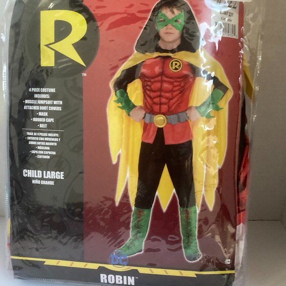 DC DELUXE ROBIN BATMAN ARKHAM GOTHAM CITY HALLOWEEN CHILD COSTUME M and L - Picture 1 of 2